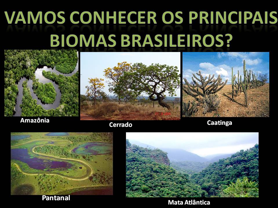 Apostila Biomas Brasileiros Pdf